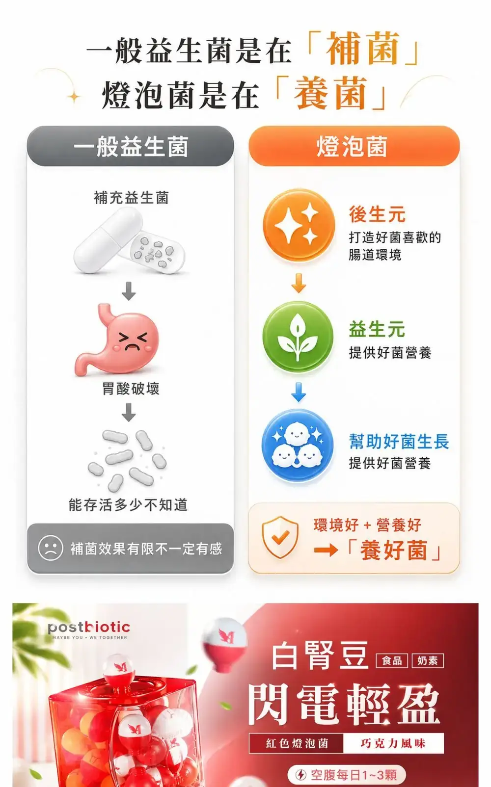 橙色燈泡菌・舒壓好眠 商品詳情 1